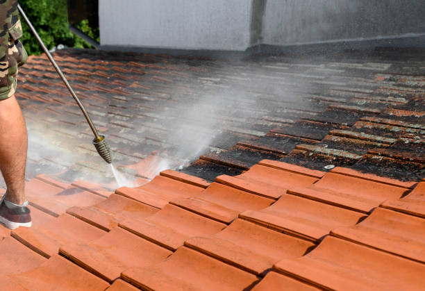 Deck Cleaning Services in Fort Collins, CO