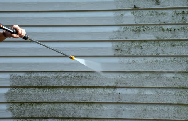 Best Deck Pressure Washing  in Fort Llins, CO