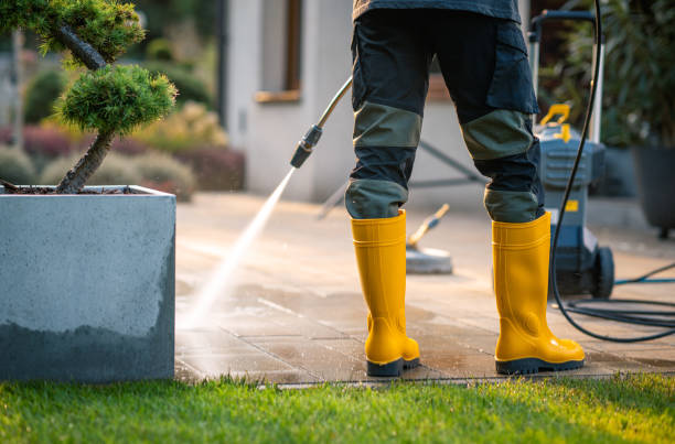 Best Pressure Washing Near Me  in Fort Llins, CO
